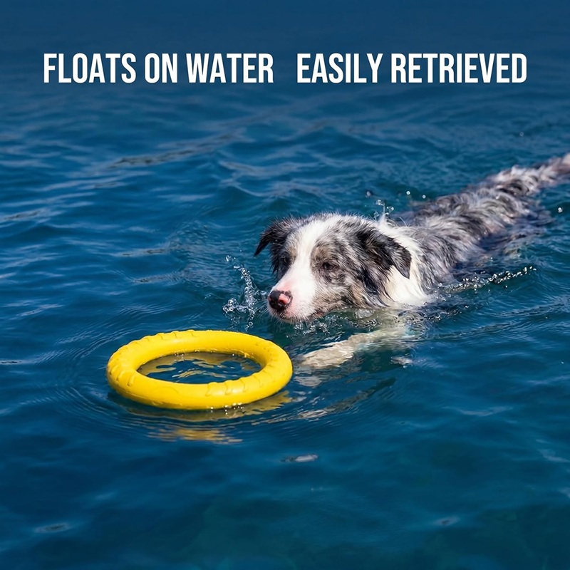 Indestructible Dog Chew Toy - Jouets pour chiens : Disques volants