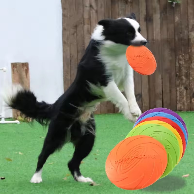 Jouet interactif en silicone p - Flying Disc Dog Training Toy avis et prix