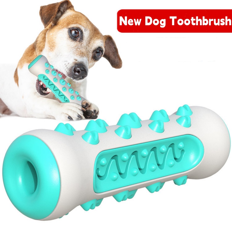 1 pièce, jouet à mâcher enzyma - Teeth Cleaning Dog Chew Bone avis et prix