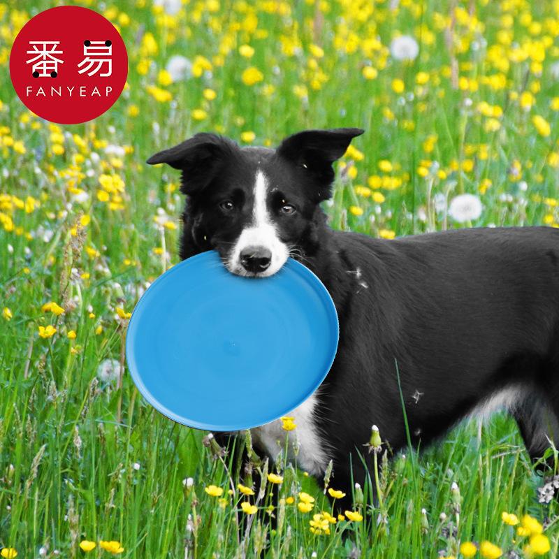 Frisbee/animal de compagnie A1 - Flying Disc Dog Training Toy avis et prix